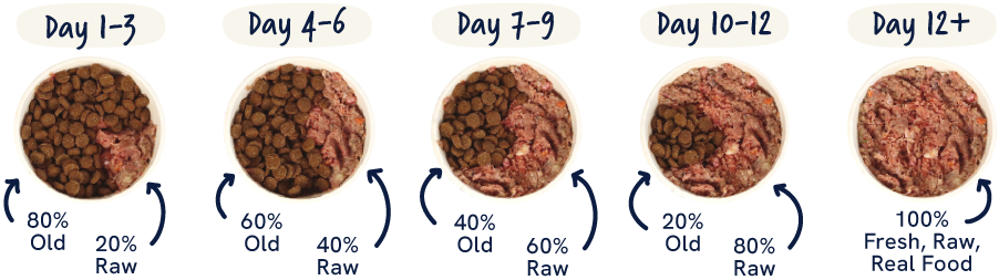 Transition to Raw Dog Food Diagram