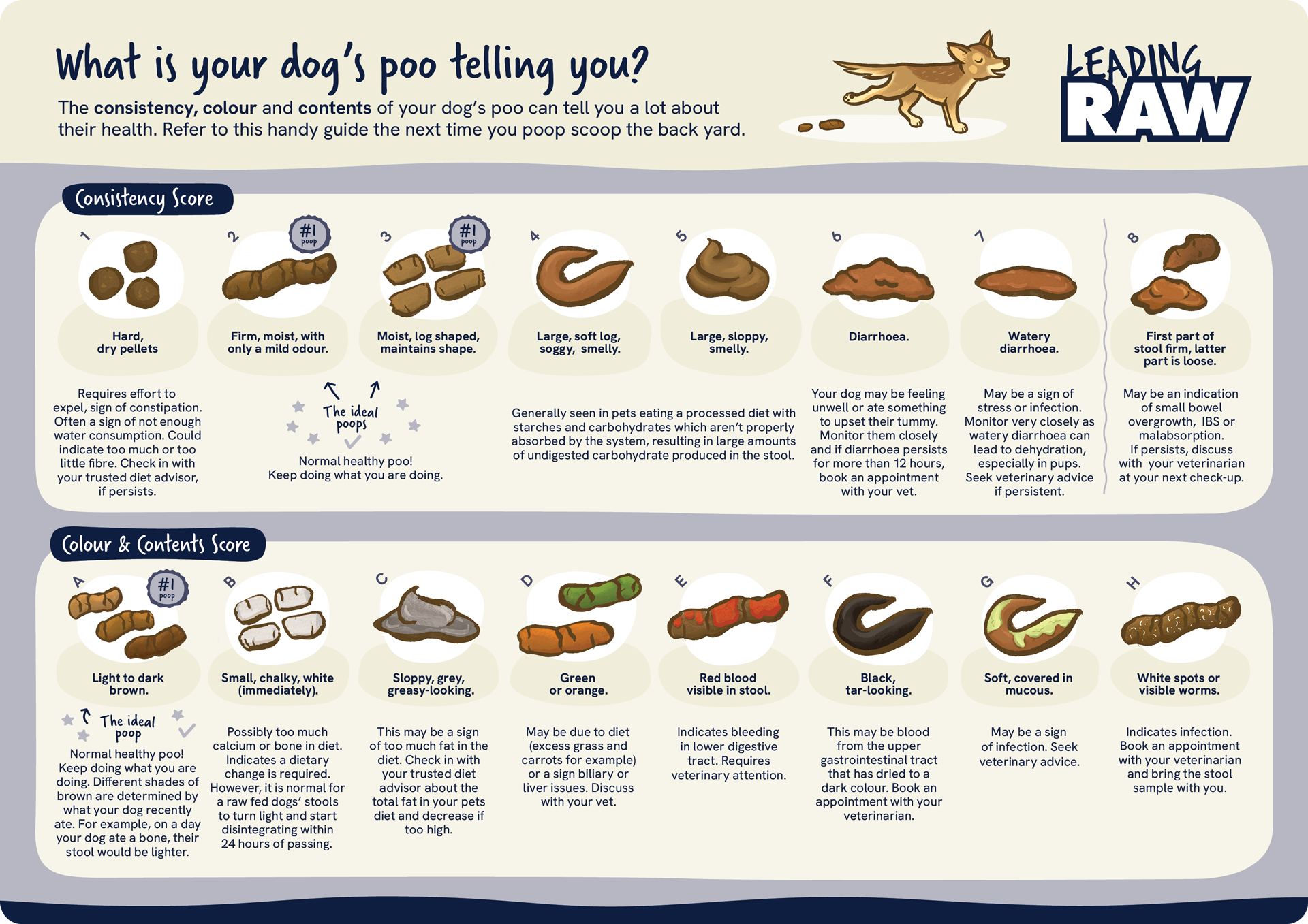 Poo Chart for Dogs