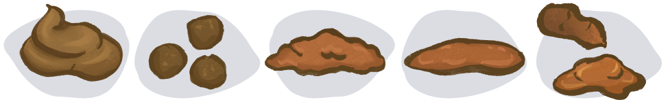 Poo chart - shape