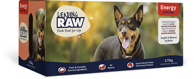 Box of Leading Raw frozen dog food - Energy recipe - featuring a happy active breed Kelpie